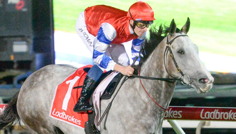 2025 Melbourne Cup 3