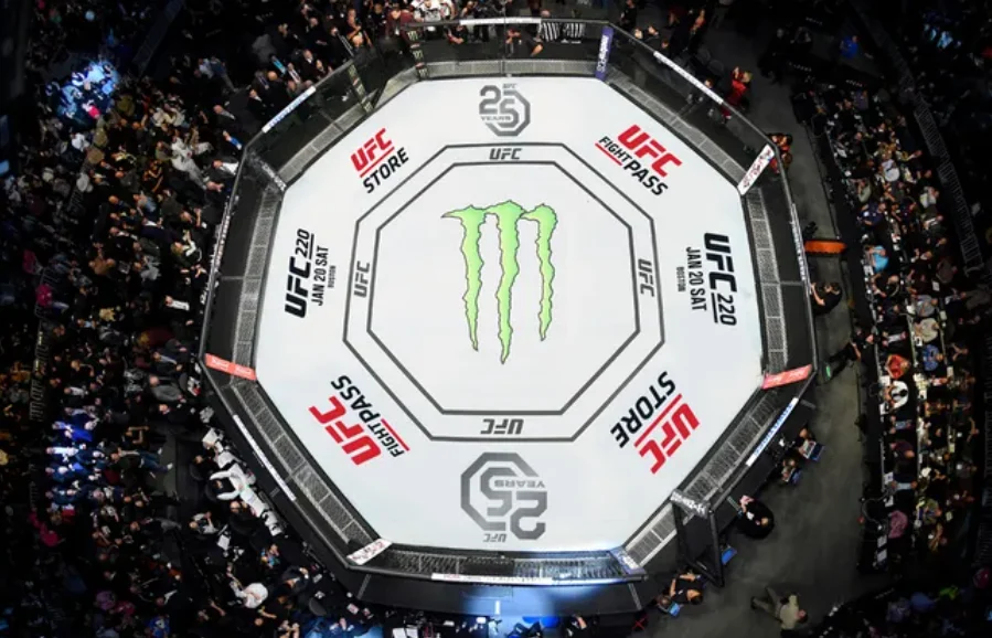 The 2025 UFC Events